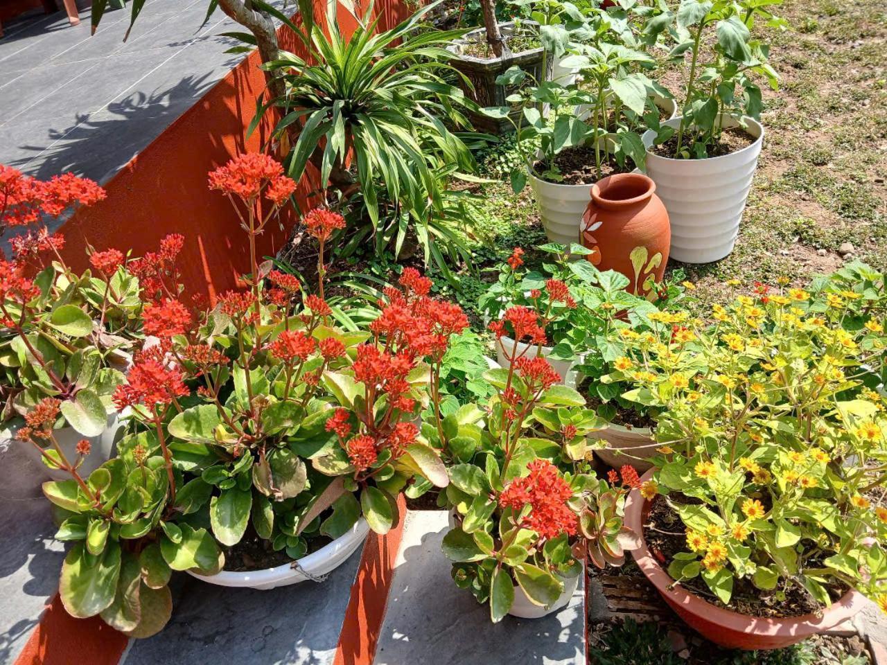 Catba Papillon Garden Bungalows & Resort Hien Hao Luaran gambar